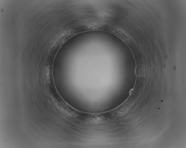 X0000073870646200608171008