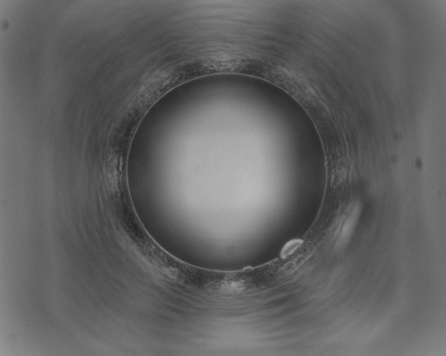 X0000073870647200608171008