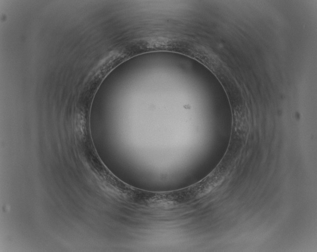 X0000073870648200608171008