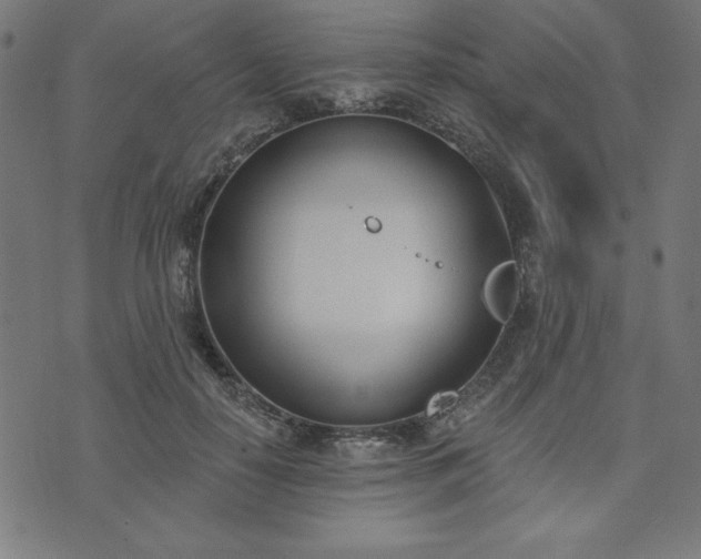 X0000073870650200608171008