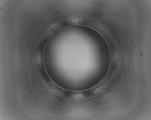 X0000073870651200608171008