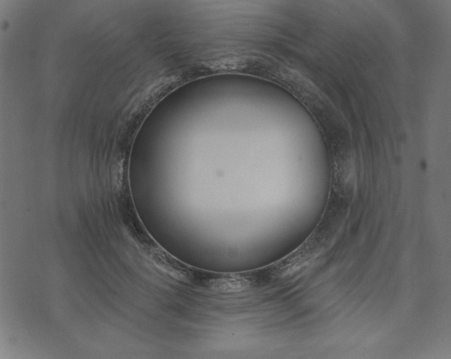 X0000073870652200608171008