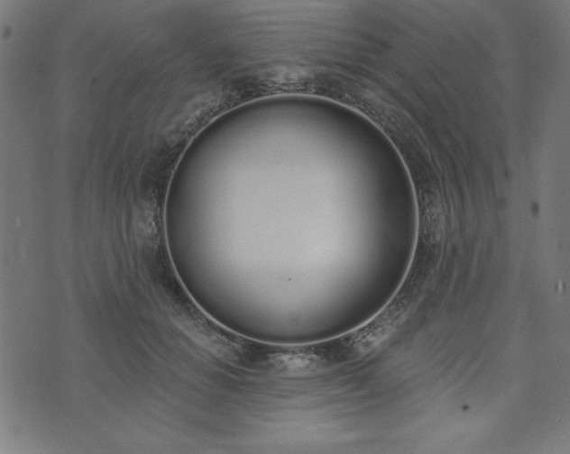 X0000073870654200608171008