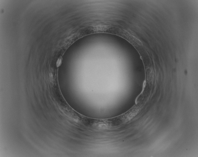 X0000073870655200608171008