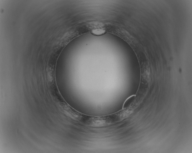 X0000073870658200608171009