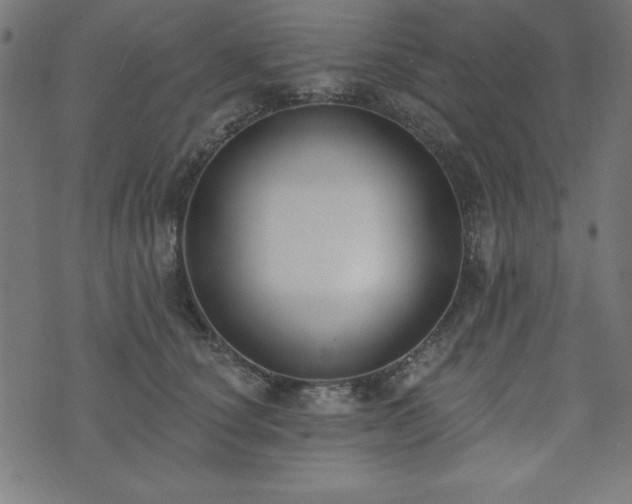 X0000073870660200608171009