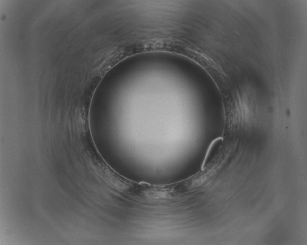 X0000073870661200608171009