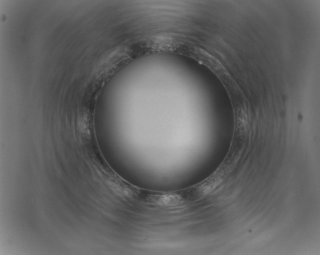 X0000073870663200608171009