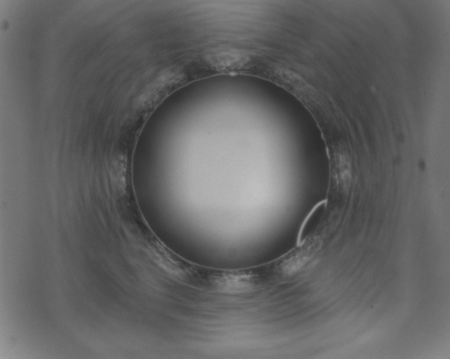 X0000073870664200608171009