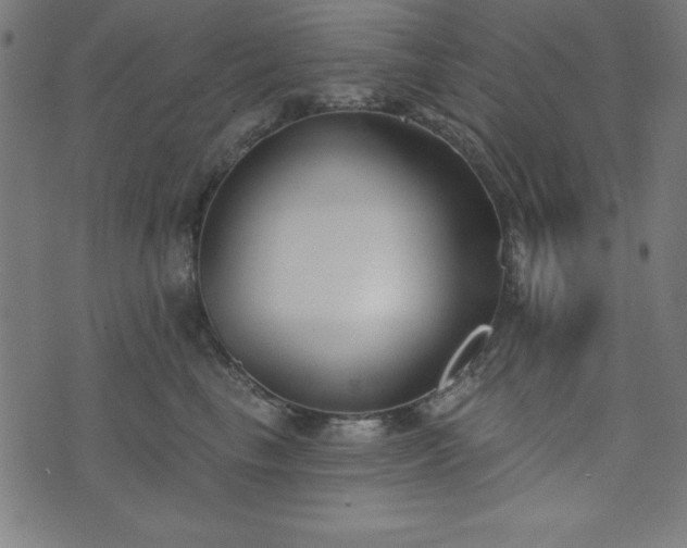 X0000073870665200608171009