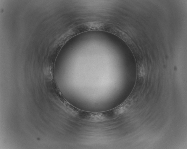 X0000073870666200608171009