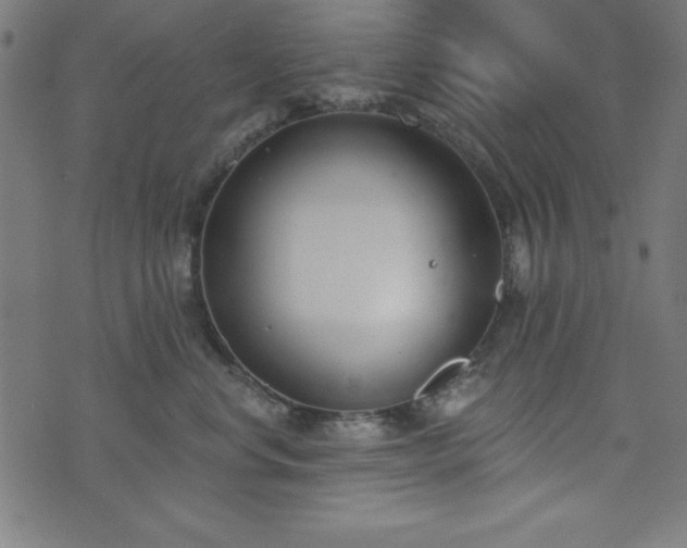 X0000073870668200608171009