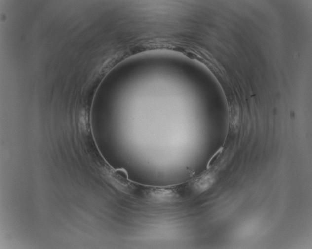 X0000073870669200608171009