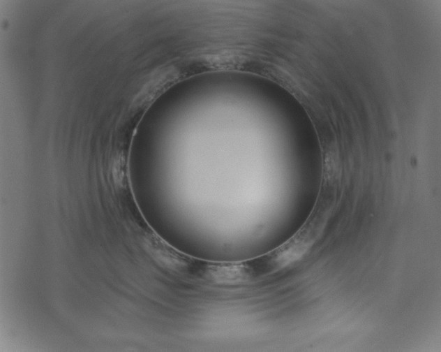 X0000073870671200608171009