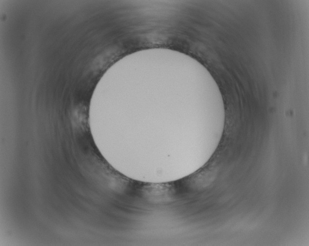 X0000073870672200608171009