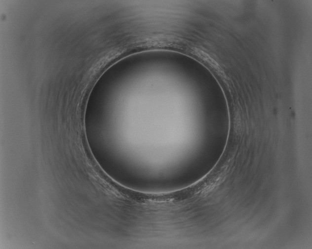 X0000073870673200608171008