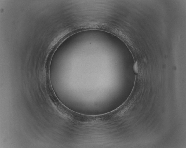 X0000073870674200608171008