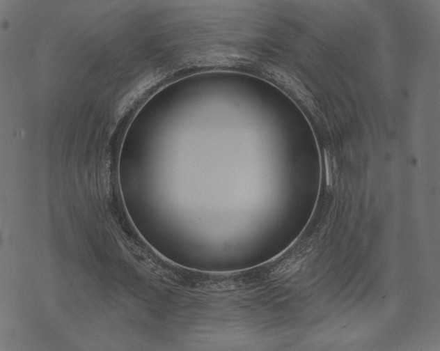 X0000073870675200608171008