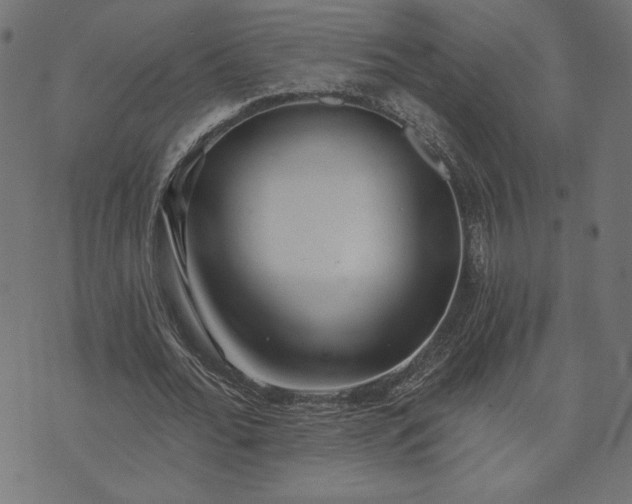 X0000073870676200608171008