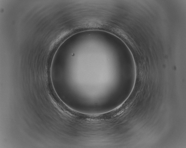 X0000073870677200608171008