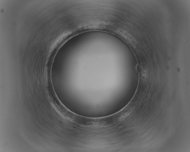 X0000073870678200608171008