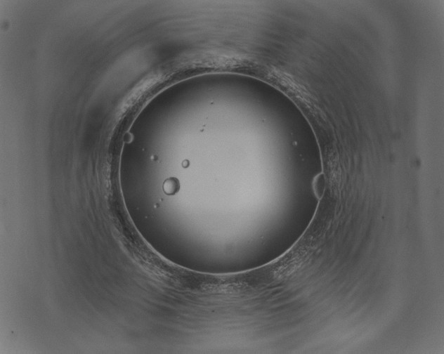 X0000073870679200608171008