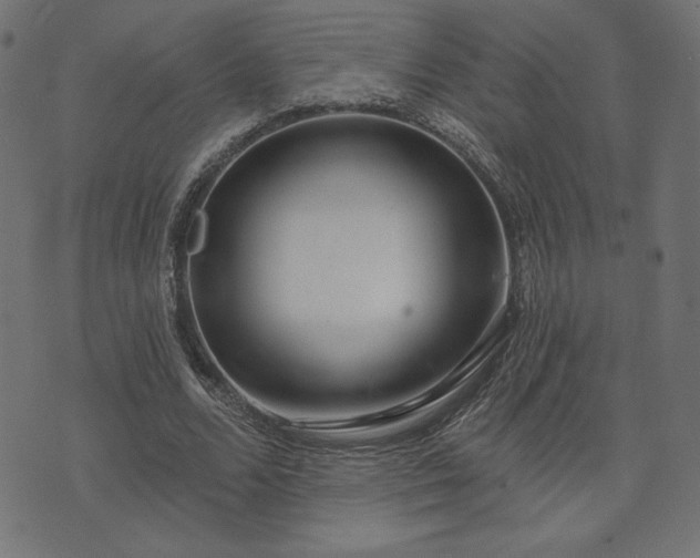 X0000073870680200608171008