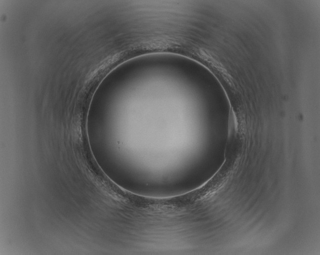 X0000073870681200608171008