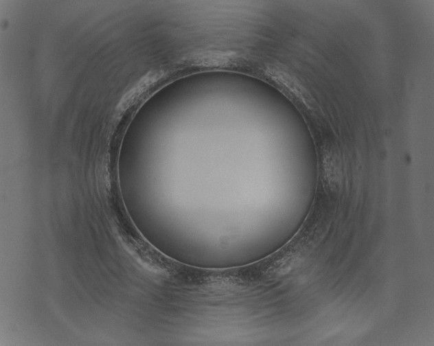 X0000073870682200608171008