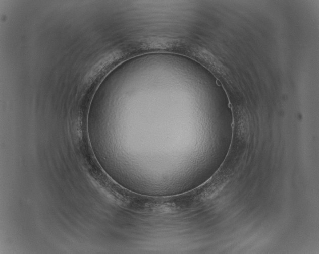 X0000073870683200608171008