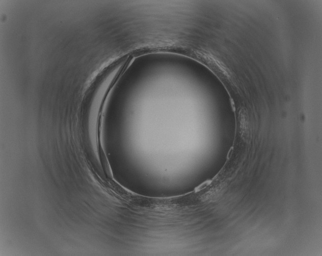 X0000073870684200608171008