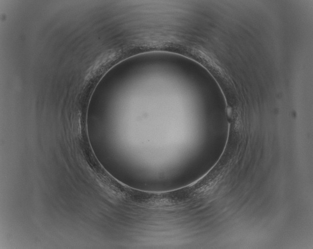 X0000073870685200608171008