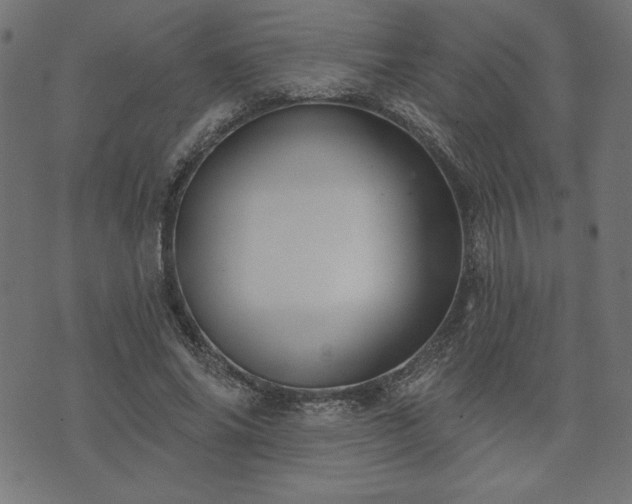 X0000073870686200608171008