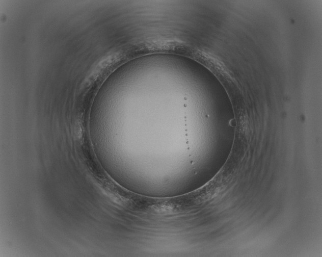 X0000073870687200608171008