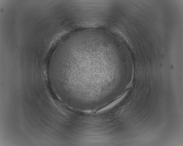 X0000073870688200608171008