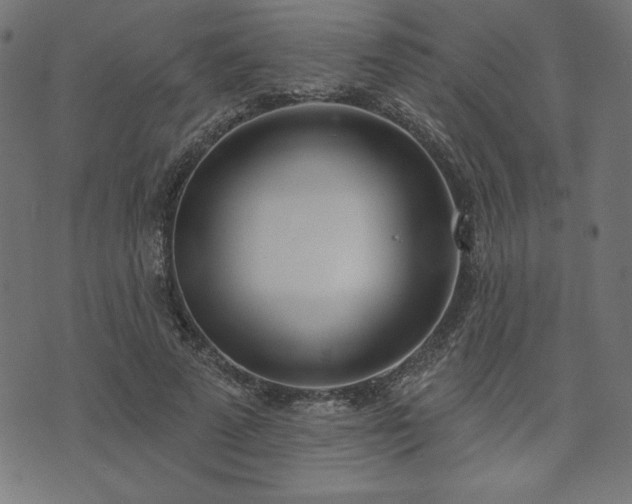 X0000073870689200608171008