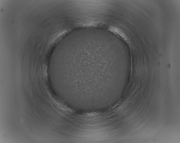 X0000073870692200608171008