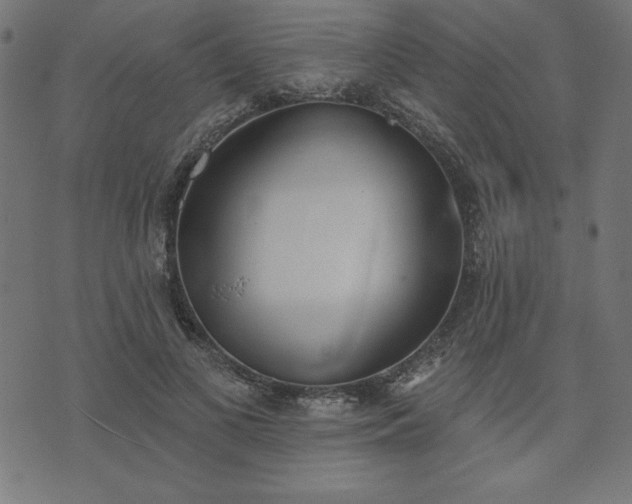 X0000073870693200608171008