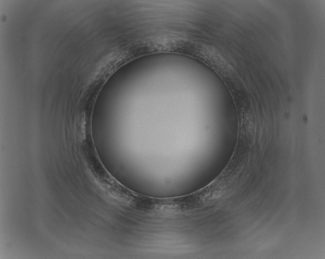 X0000073870694200608171008