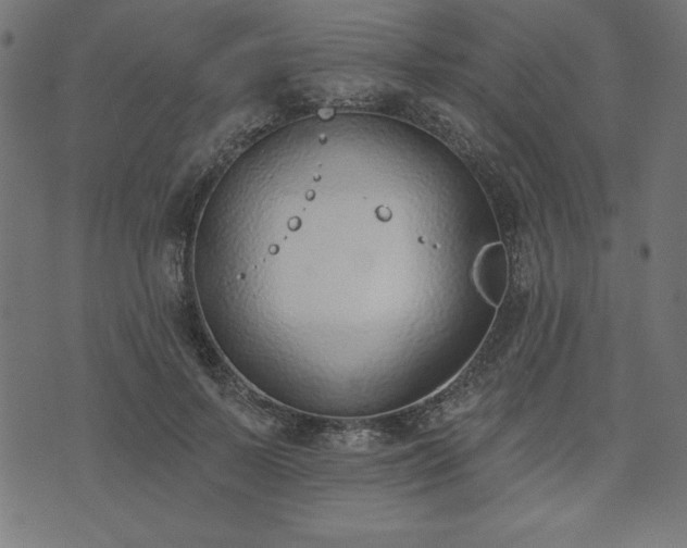 X0000073870695200608171008