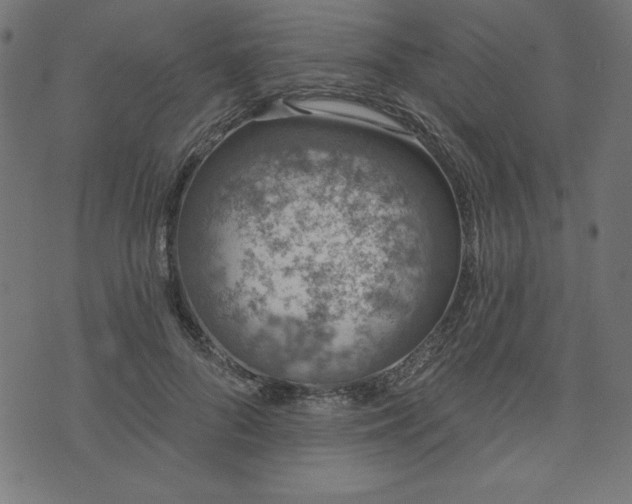 X0000073870696200608171008