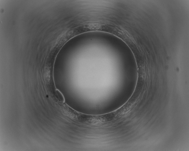 X0000073870697200608171008