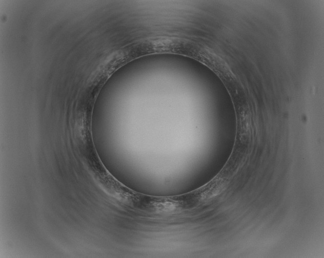 X0000073870698200608171008