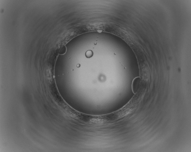 X0000073870699200608171008