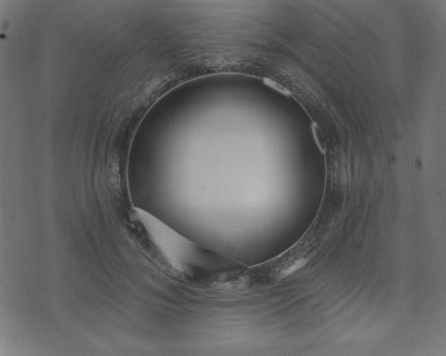 X0000073870700200608171008