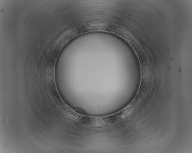 X0000073870701200608171008