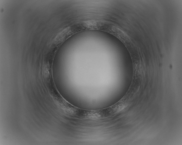 X0000073870702200608171007