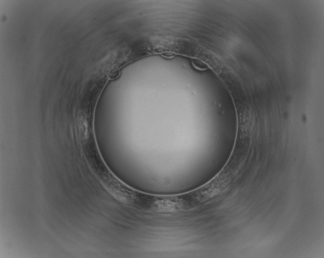 X0000073870703200608171007