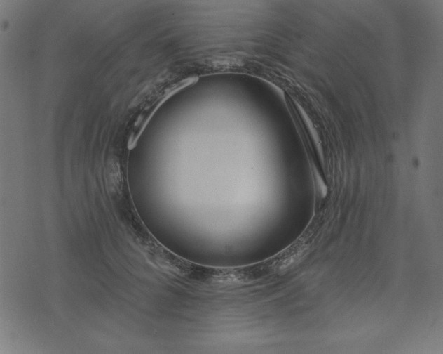 X0000073870704200608171007