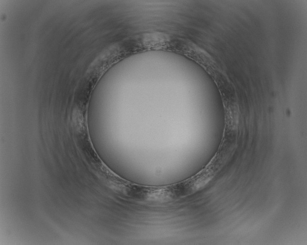 X0000073870705200608171007